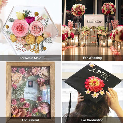 Flower Drying Silica Gel Sand Crystals Reusable Desiccant DIY Craft 1000g