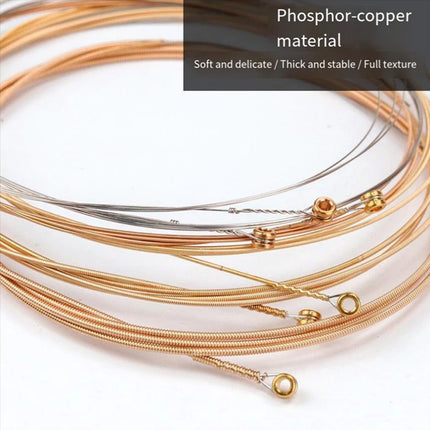 4Pack Acoustic Guitar 6 Strings Set Phosphor Bronze Light 12-53 16052