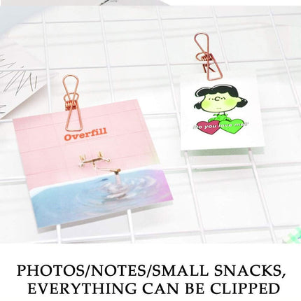 40Pcs String Fairy Light Clothes Pegs Blanket Fixed Camping Outdoor Clips