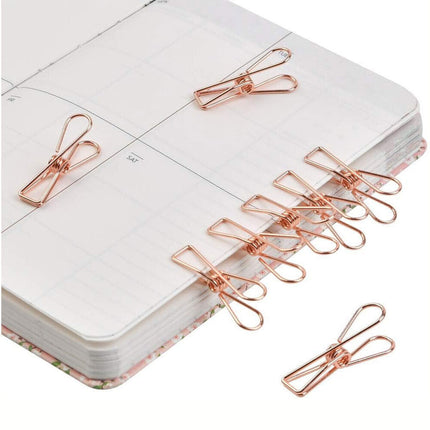 40Pcs String Fairy Light Clothes Pegs Blanket Fixed Camping Outdoor Clips