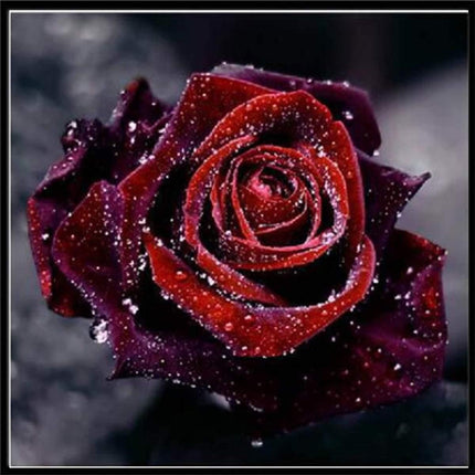 5D DIY Diamond Painting Splendid&Co.