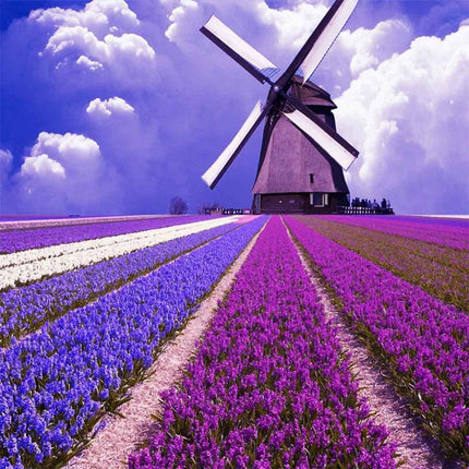 5D DIY Diamond Painting Splendid&Co.