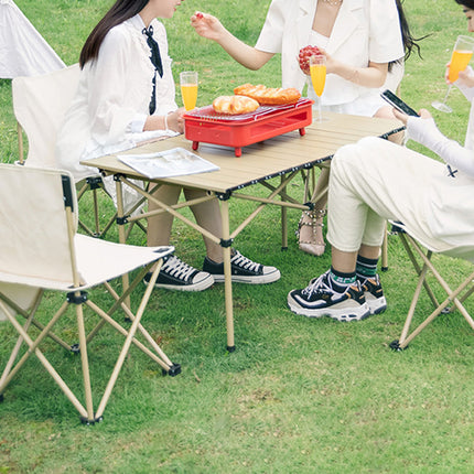 Aluminum Camping Foldable Table Picnic BBQ Desk Outdoor Splendid&Co.