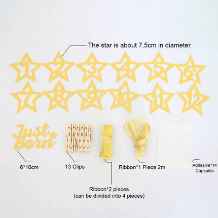 Personalized One Year Photo Banner Monthly Photo Birthday Banner Blue Splendid&Co.