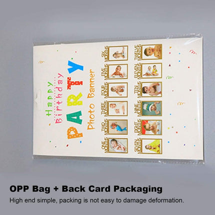 Personalized One Year Photo Banner Monthly Photo Birthday Banner Blue Splendid&Co.