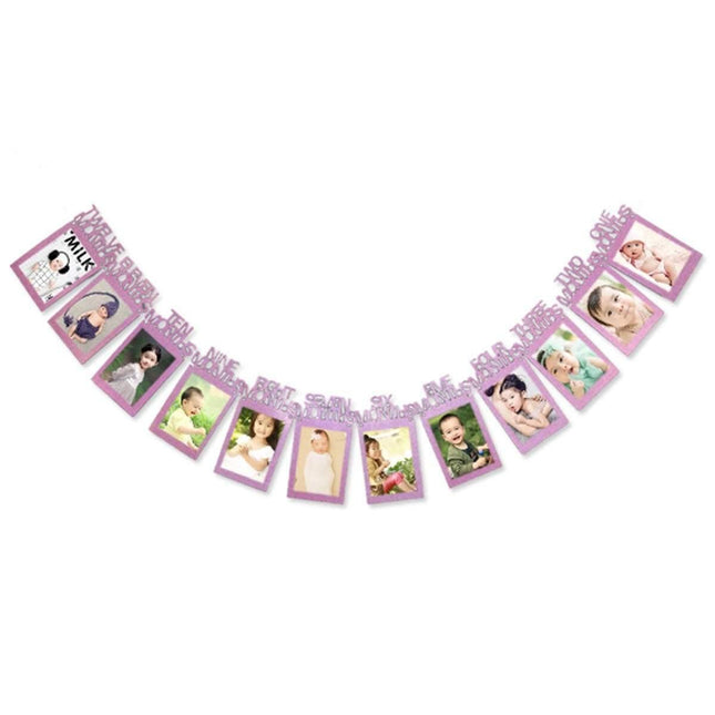 Personalized One Year Photo Banner Monthly Photo Birthday Banner Pink Splendid&Co.