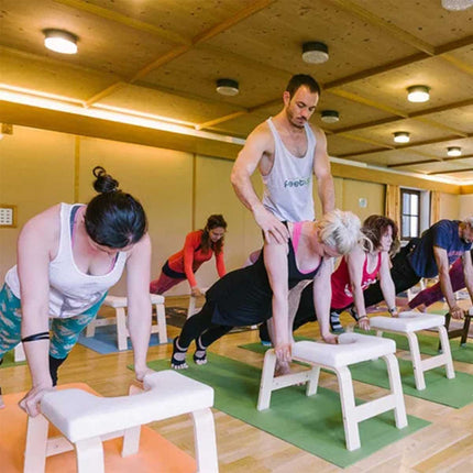 Yoga Headstand Bench Inversion Chair For Home Gym Splendid&Co.