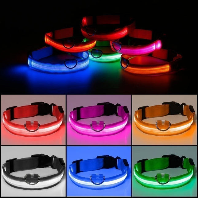 Dog Flashing LED Collar USB Rechargable - Image 1