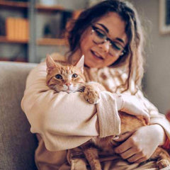 Cat Supplies Splendid&Co.