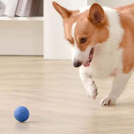 Boujee Gravity Bounce Ball,Boujeeflow Dog Ball,Interactive Vibrating Dog Balls