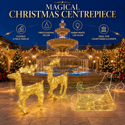 Double Deer Pulling Cart Christmas Lights Solar Powered Warm White LED Outdoor Decoration