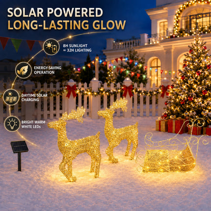Double Deer Pulling Cart Christmas Lights Solar Powered Warm White LED Outdoor Decoration