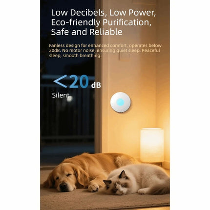 Air Purifier for Pets Rechargeable Air Purifier Quiet Pet Odor Eliminator Indoor