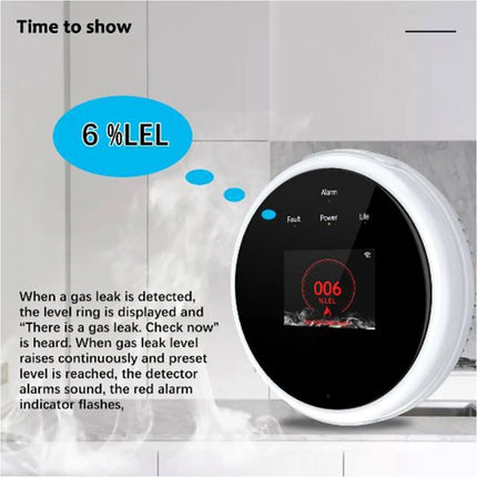 Natural Gas Detector Home Liquefied Petroleum Tester
