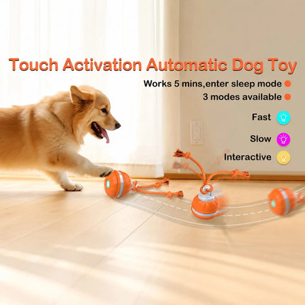 1-2PCS Interactive Smart Dog Ball with Swing Rope Tail | USB Rechargeable