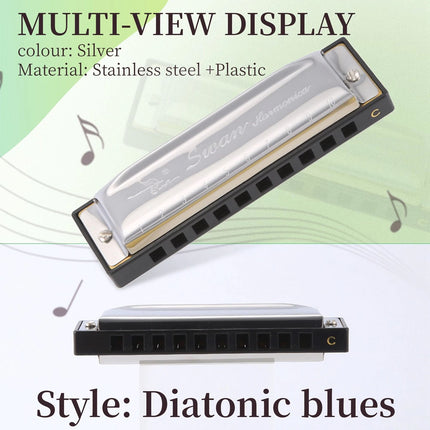Harmonica 10 Holes Key of C SILVER w/ Case Blues Harp Stainless Steel