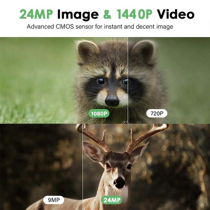 Hunting Trail Camera Wildlife Game 24MP 1440P Night Vision Outdoor Security Cam