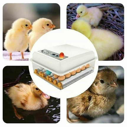 36 Egg Incubator Fully Automatic Egg Turning Hatcher Quail Chicken Duck