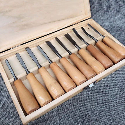 10PCS Professional Wood Carving Hand Chisel Tools Woodworking Gouges Kit Set