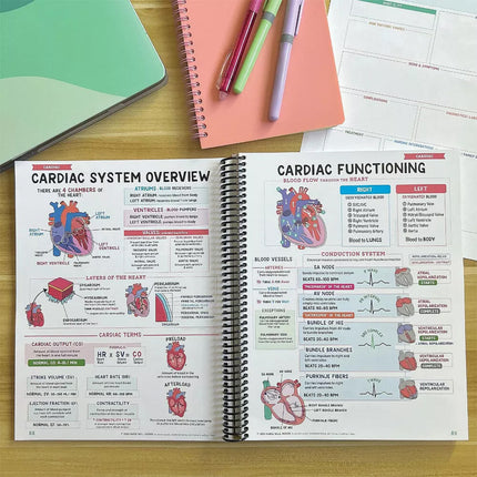Nursing School Success Bundle Notes- Guide & Essentials for Aspiring Nurses
