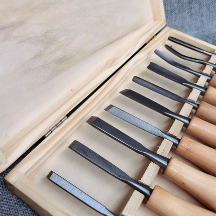 10PCS Professional Wood Carving Hand Chisel Tools Woodworking Gouges Kit Set