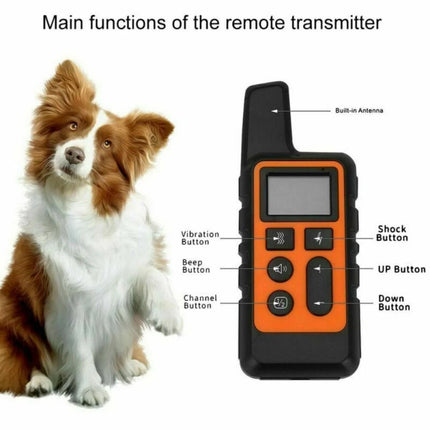 Anti-Bark Electric Shock Pet Dog Training E-Collar Obedience Remote Control Orange
