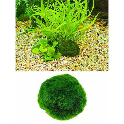 6Pcs 3-4cm Moss Balls Live Aquarium Algae Fish Shrimp Tank Green Seaweed
