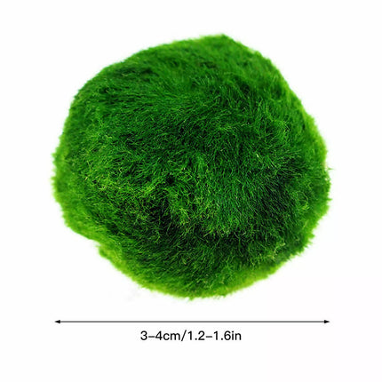 6Pcs 3-4cm Moss Balls Live Aquarium Algae Fish Shrimp Tank Green Seaweed