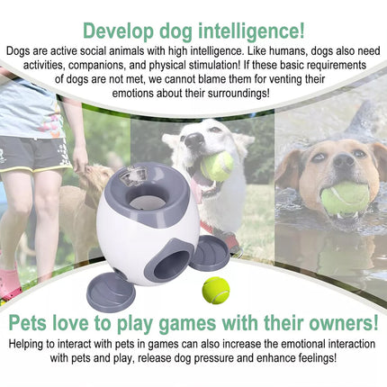 Automatic Dog Tennis Ball Launcher Reward Feeder Interactive Pet Training Game Grey