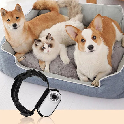 Pet Collar Camera, HD Pet Camera,Mini Camera for Video Records Dog for pet (White)