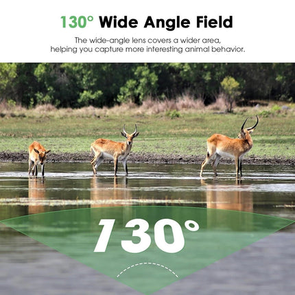 Wildlife Hunting Trail Camera Full 1440P Night Vision Motion Cam