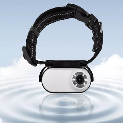 Pet Collar Camera, HD Pet Camera,Mini Camera for Video Records Dog for pet (White)