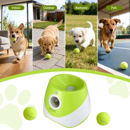 Auto Dog Ball Launcher Thrower Automatic Tennis Fetch Throwing Machine 6 Balls