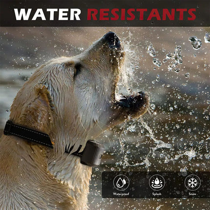 Auto Anti Bark Dog Collar Rechargeable Stop Barking Non-Shock Humane Waterproof