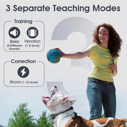 800M Anti Bark Electric Shock Pet Dog Training E-Collar Obedience Remote Control