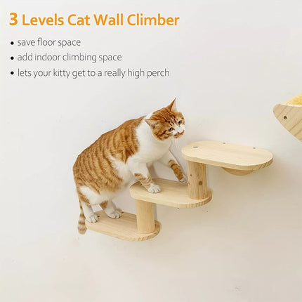 Wooden Wall Mounted Cat Shelf Capsule Bed Climbing Tree Platform Furniture Rack