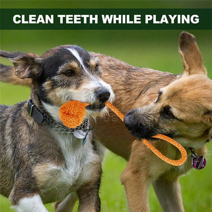 11PCS Pet Toys Puppy Dog Cat Durable Cotton Rope Pull Teeth Clean Chew Toy Set