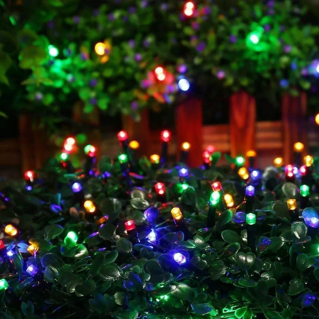 800 LEDS 80M Fairy Christmas String Lights Party Outdoor Light Wedding Xmas 36V