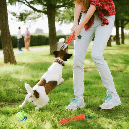 11PCS Pet Toys Puppy Dog Cat Durable Cotton Rope Pull Teeth Clean Chew Toy Set