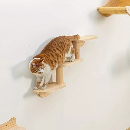 Wooden Wall Mounted Cat Shelf Capsule Bed Climbing Tree Platform Furniture Rack