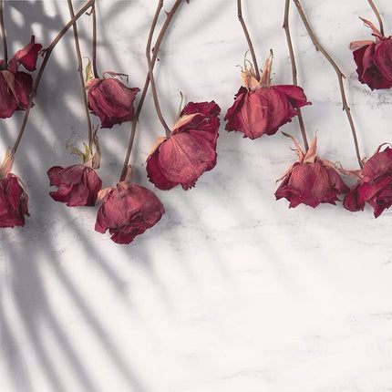 Flower Drying Silica Gel Sand Crystals Reusable Desiccant DIY Craft 1000g