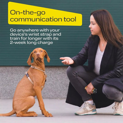 Dog Anti Barking Device with 50FT Control Range Ultrasonic Dog Bark Deterrent Black