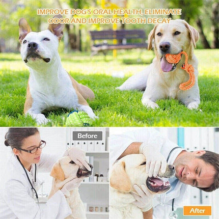 11PCS Pet Toys Puppy Dog Cat Durable Cotton Rope Pull Teeth Clean Chew Toy Set
