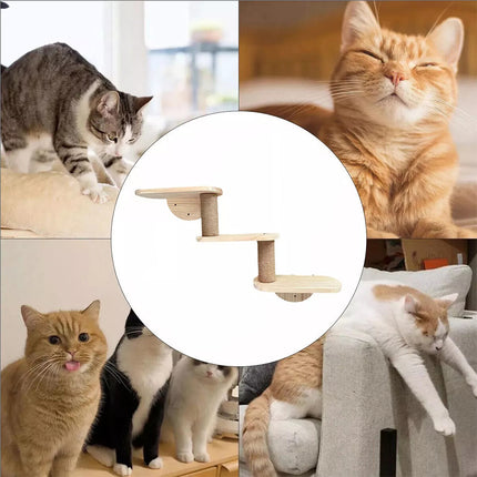 Wooden Wall Mounted Cat Shelf Capsule Bed Climbing Tree Platform Furniture Rack