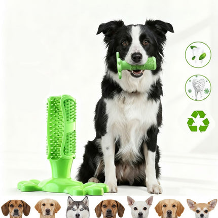 Green L Size Dog Toothbrush Toy Clean Teeth Brushing Stick Mouth Chewing Dental Care Play Dog