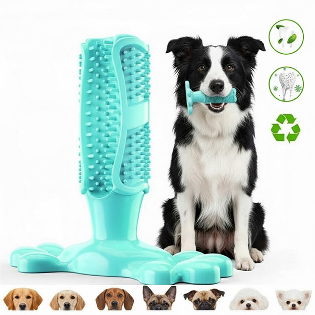 Teal L Size Dog Toothbrush Toy Clean Teeth Brushing Stick Mouth Chewing Dental Care Play Dog