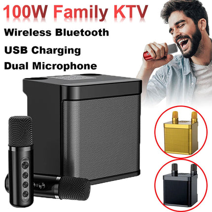 Wireless Bluetooth Speaker Home Karaoke Singing Machine Dual Microphone