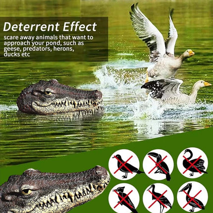 Floating Crocodile Head For Garden Pond Pool Water Feature Ornament Decor