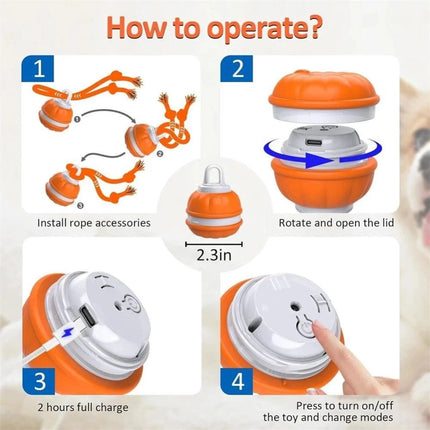 1-2PCS Interactive Smart Dog Ball with Swing Rope Tail | USB Rechargeable
