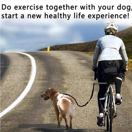 Dog Bicycle Leash for Exercising Training Jogging Cycling Bike Leash Pet Leash